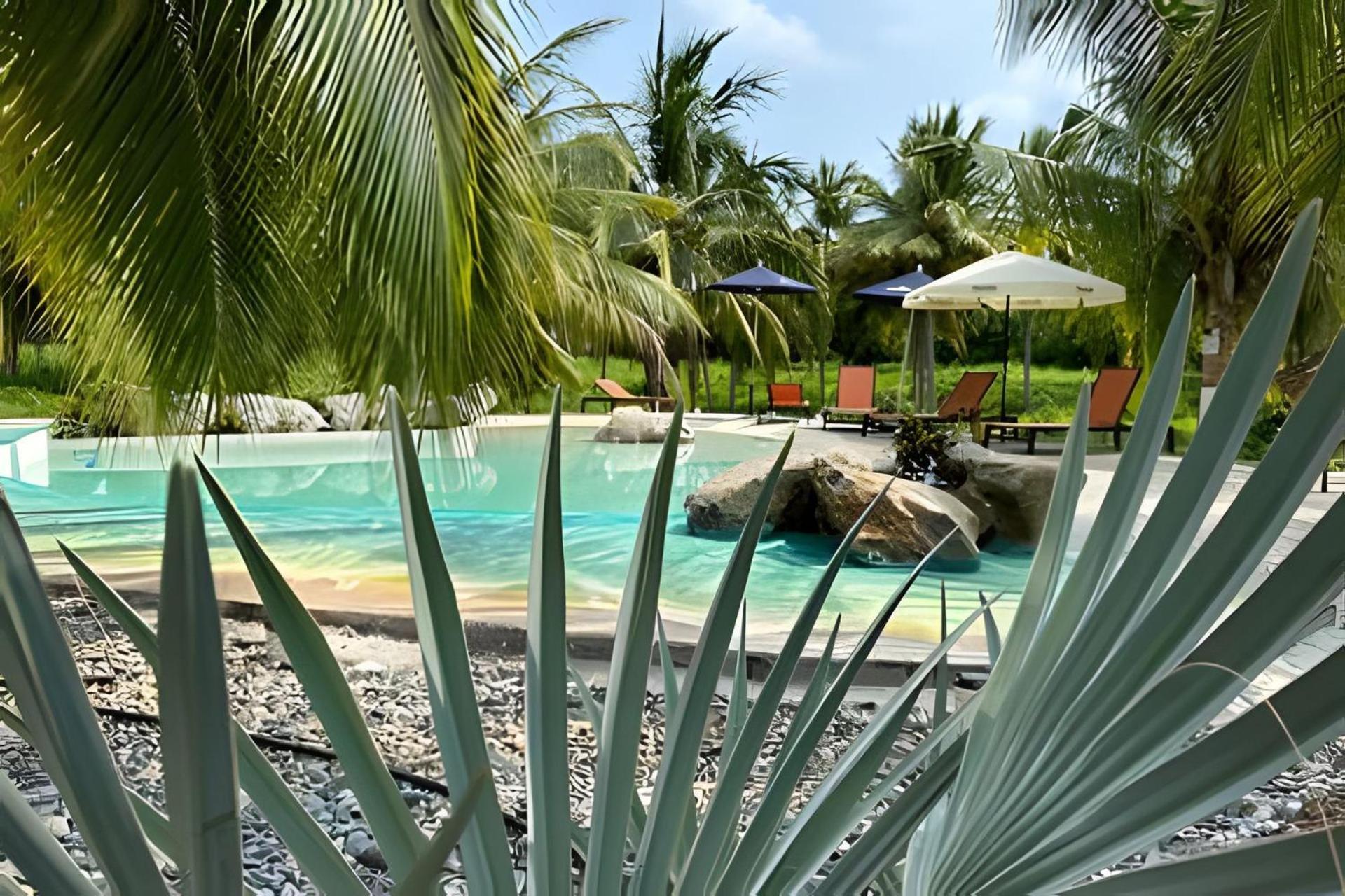 Casa Las Palmas Playa La Saladita Zihuatanejo Exterior foto