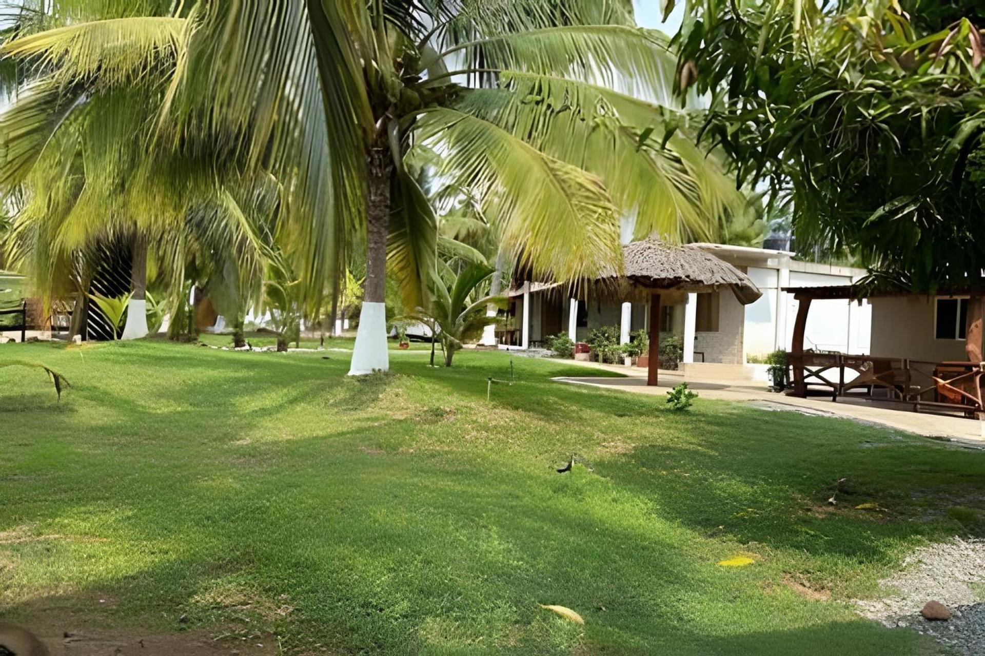 Casa Las Palmas Playa La Saladita Zihuatanejo Exterior foto