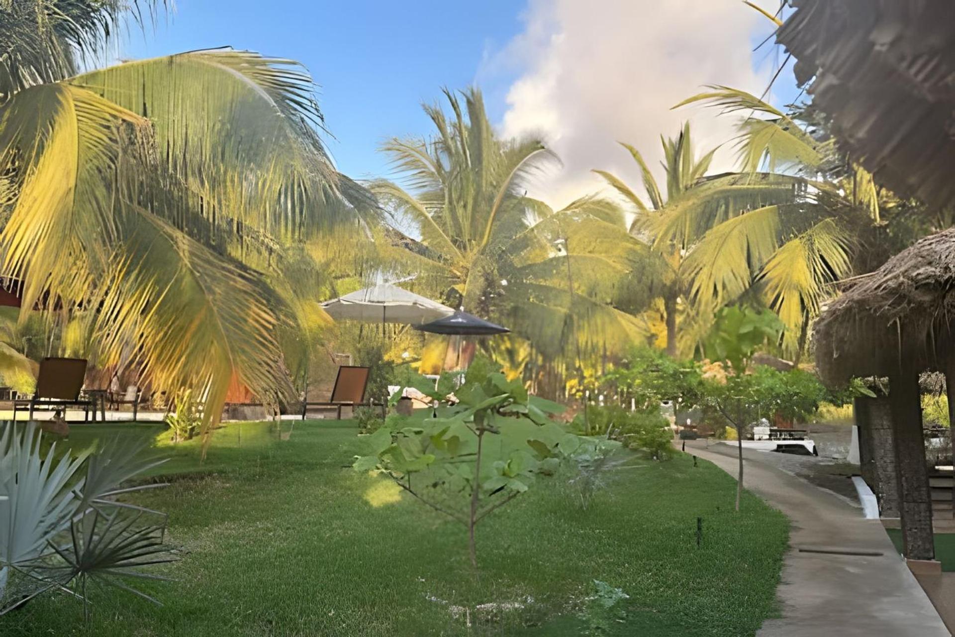 Casa Las Palmas Playa La Saladita Zihuatanejo Exterior foto