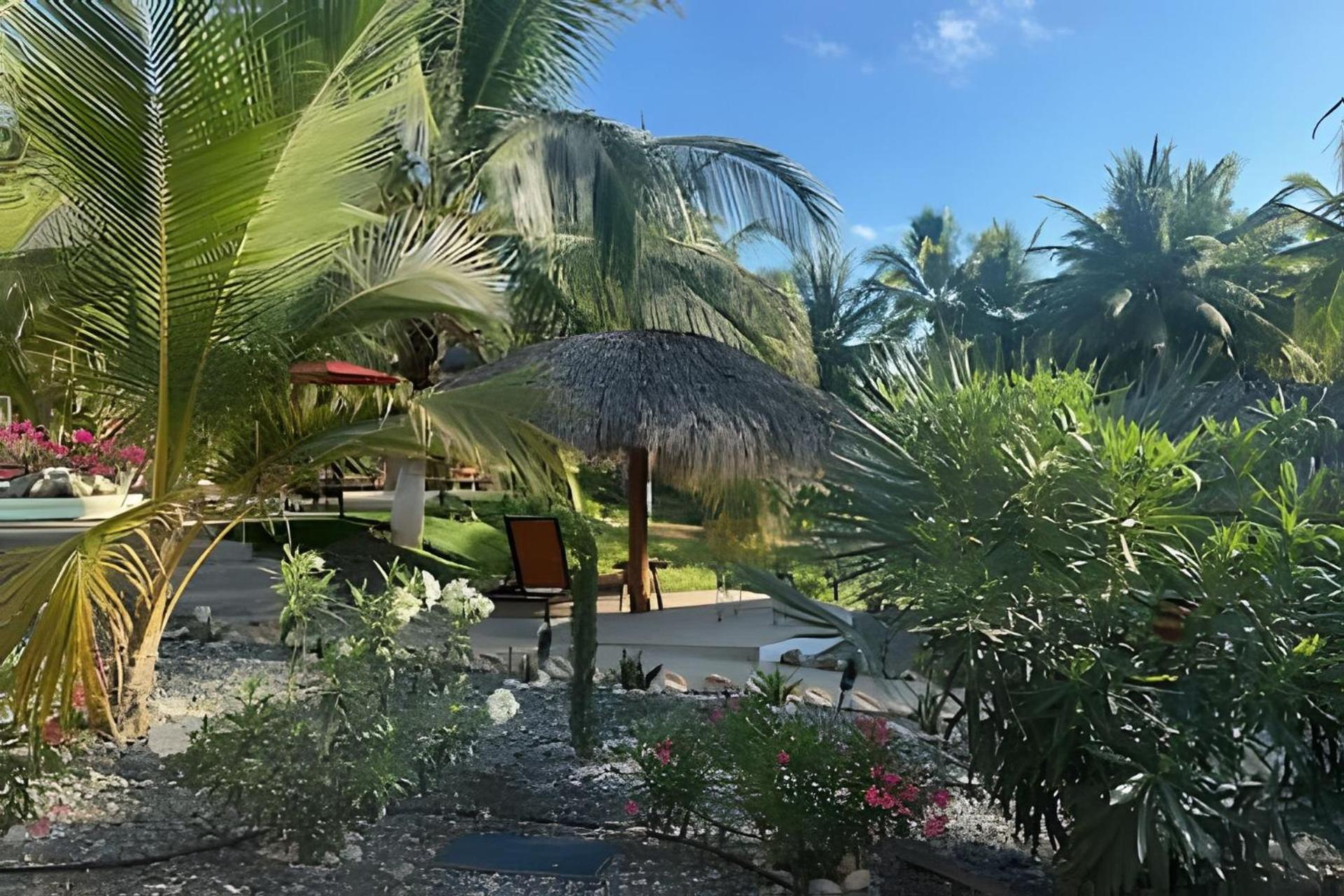 Casa Las Palmas Playa La Saladita Zihuatanejo Exterior foto