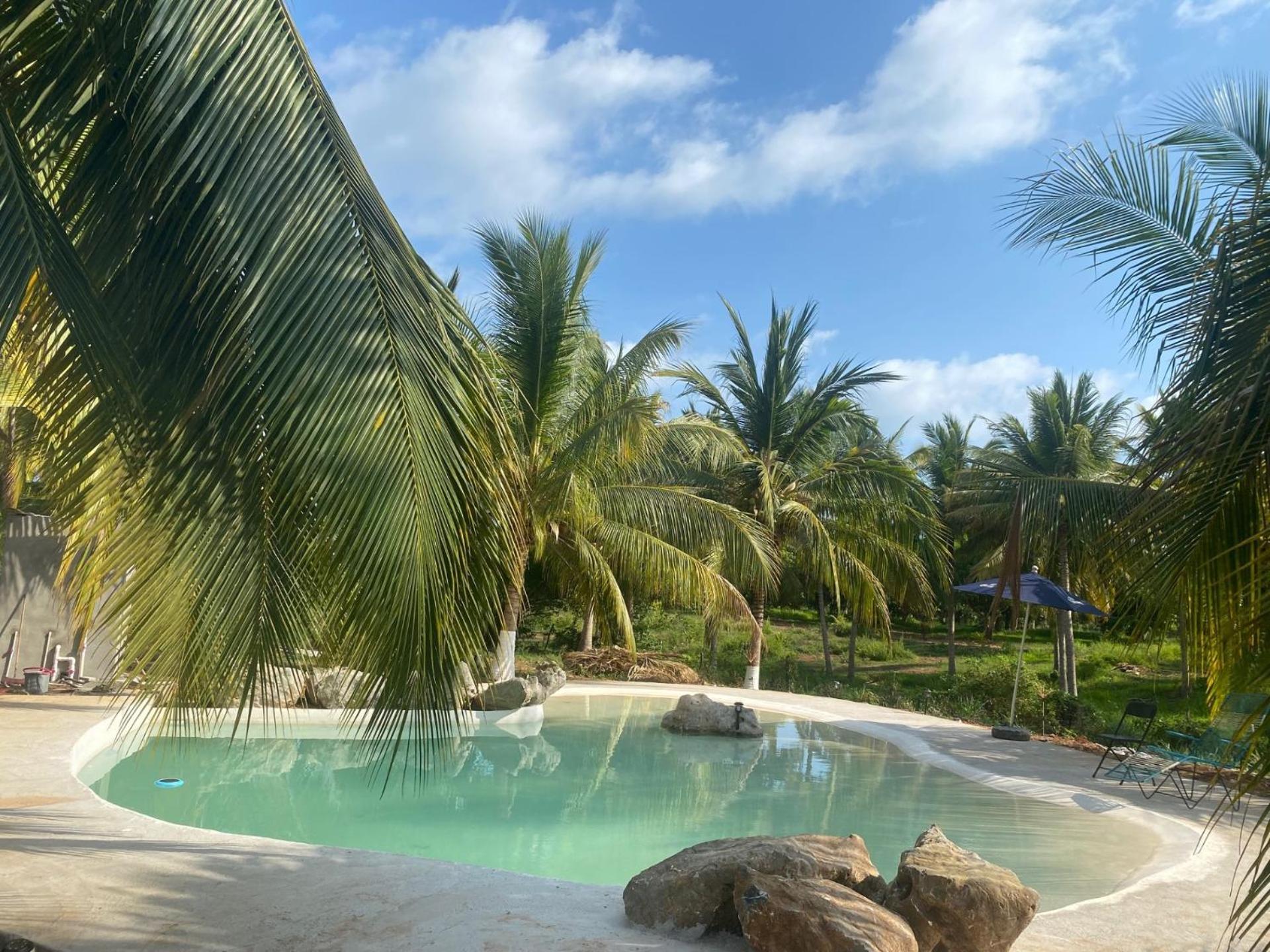 Casa Las Palmas Playa La Saladita Zihuatanejo Exterior foto